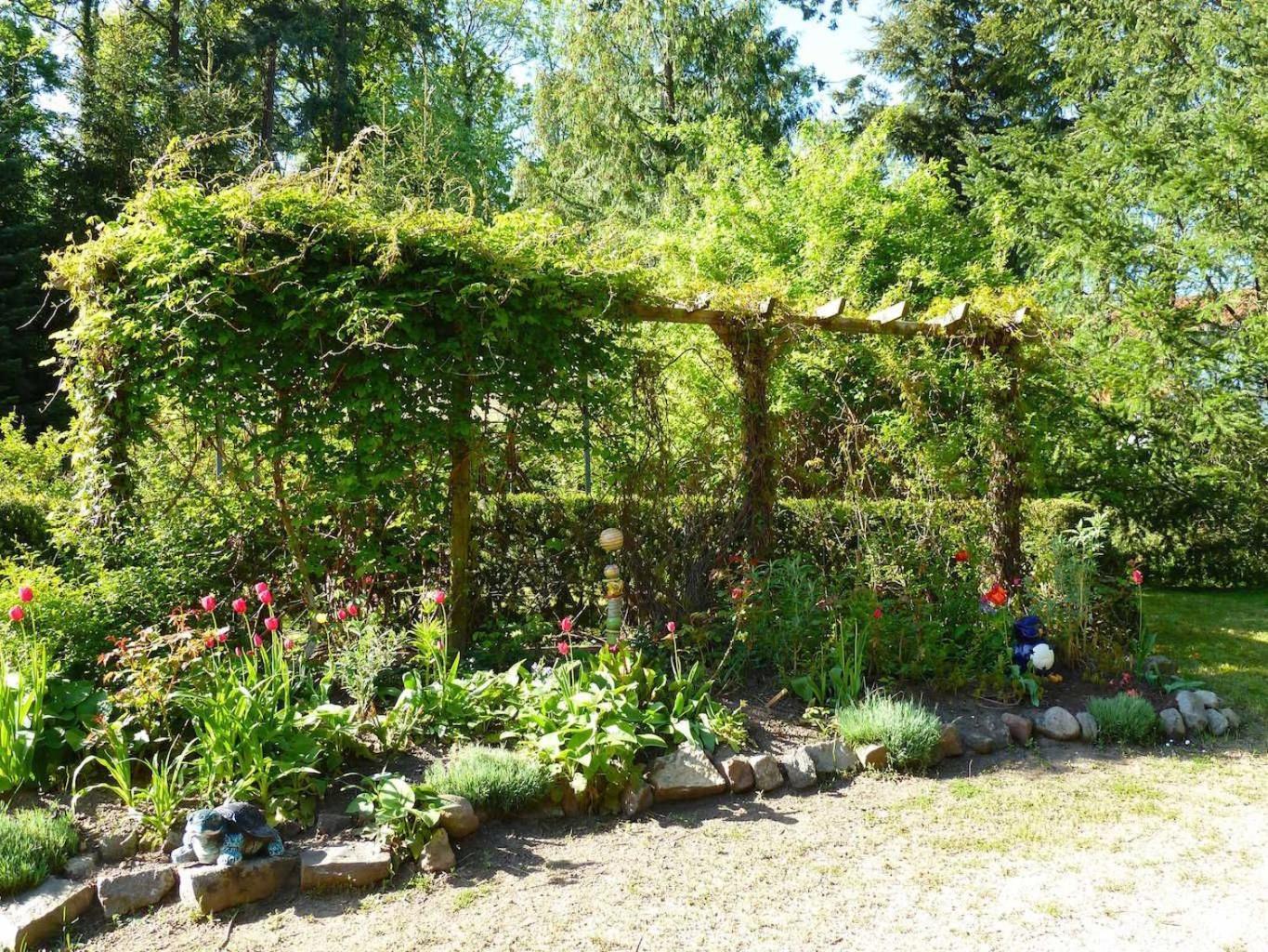 Ferienwohnung Villa Am Haussee Feldberger Seenlandschaft Dış mekan fotoğraf