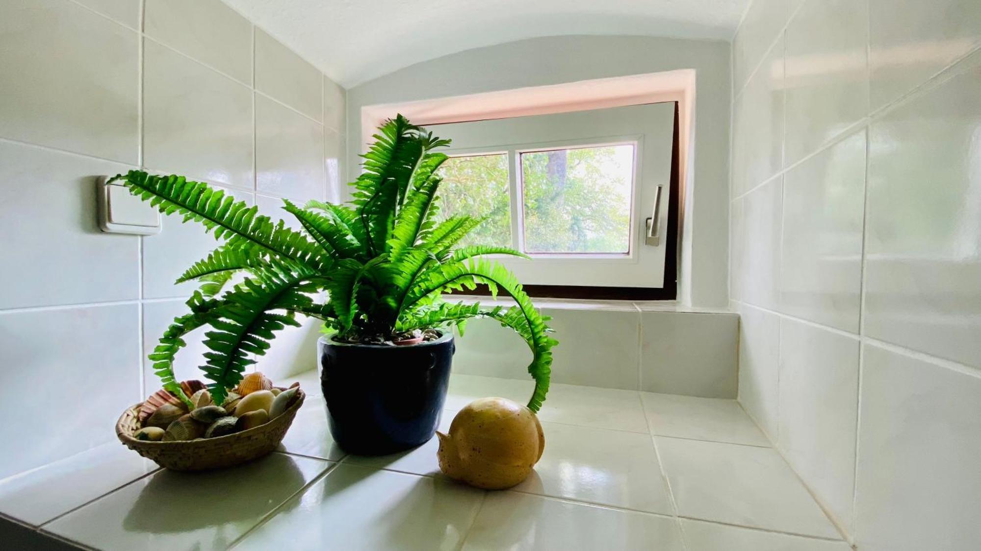 Ferienwohnung Villa Am Haussee Feldberger Seenlandschaft Dış mekan fotoğraf